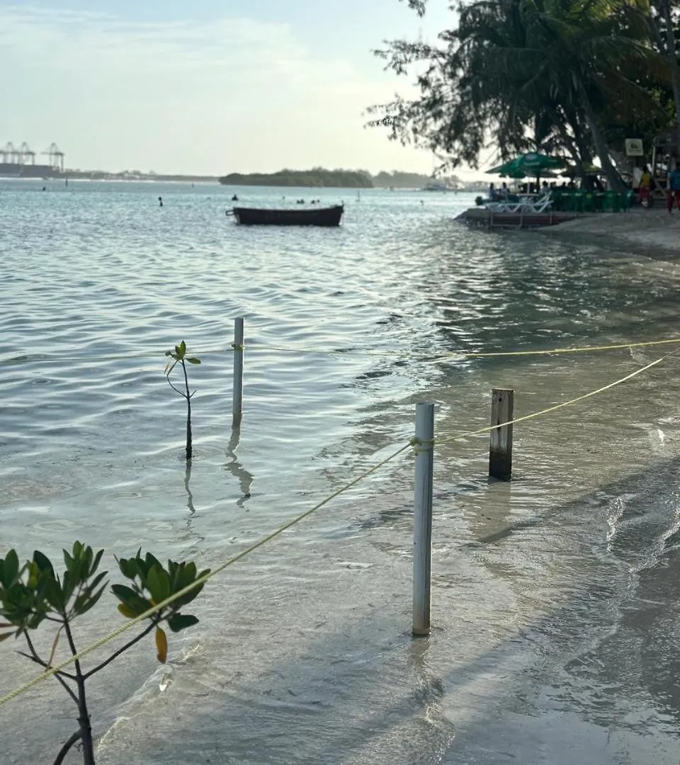 Residential Amanda Del Mar In Front Of The Beach Boca Chica