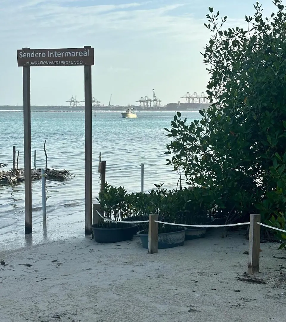 Residential Amanda Del Mar In Front Of The Beach Boca Chica Apartment